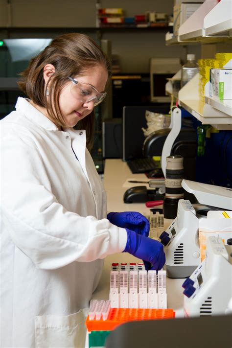 What Does Red Cross Phlebotomy Training Involve? - Phlebotomy Near You