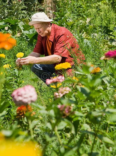 Man Trimming The Garden Picture And Hd Photos Free Download On Lovepik