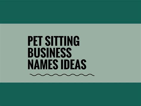 465 Catchy Pet Sitting Business Names Ideas Video Infographic