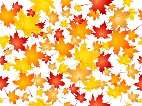 Free Vector Falling Maple Leaves