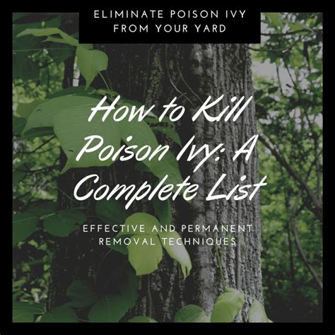 How To Kill Poison Ivy A Complete List Of Methods And Tips Dengarden