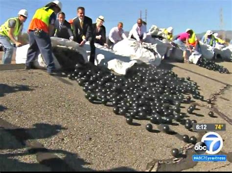 La Dumps Black Balls In Reservoirs To Stop Evaporation