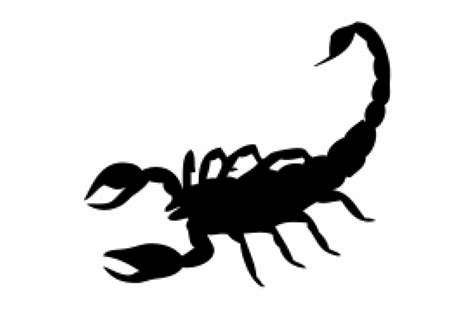Scorpion Png Free Download Black Scorpion Png Clip Art Library