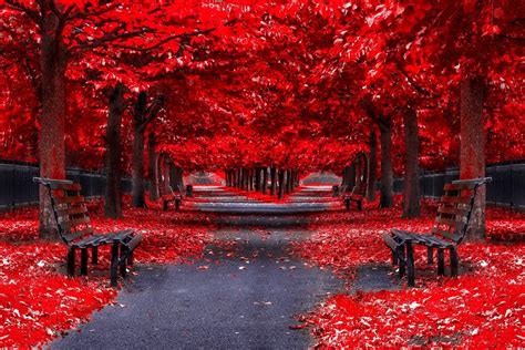 Red Autumn Park Alley In The Mirror Beautiful Nature Landscapes