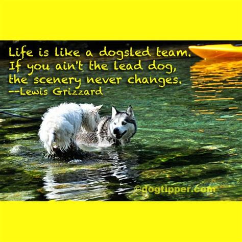Famous Dog Travel Quotes