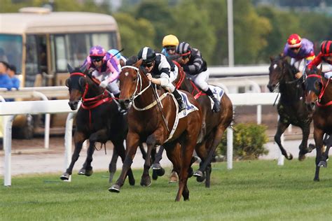 February 24, 2014 · sha tin, hong kong ·. 告東尼馬房三駒強襲香港經典盃 - 賽馬新聞 - 香港賽馬會