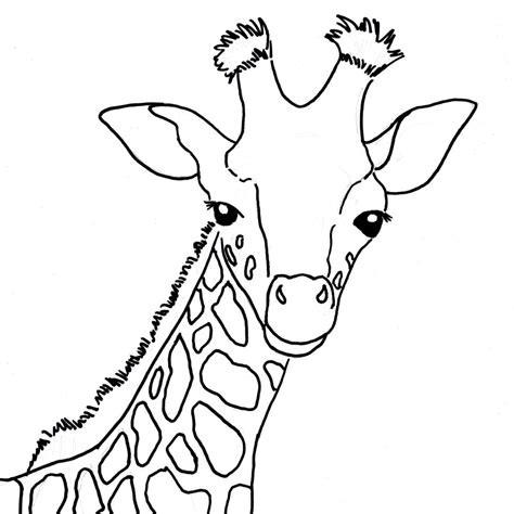 Coloring Pages Of Baby Giraffes At Getdrawings Free Download