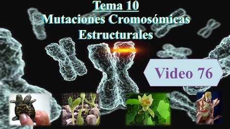79 Tema 10 Mutaciones Cromosómicas Estructurales Genética Cód 2030 Youtube
