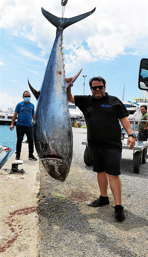La Campaña De Pesca Del Atún Rojo Bate Un Récord Histórico Con Más De 1