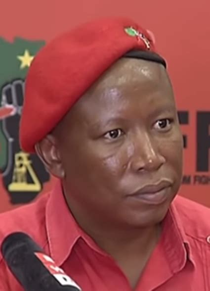Julius Malema Age Birthday Bio Facts And More Famous Birthdays On
