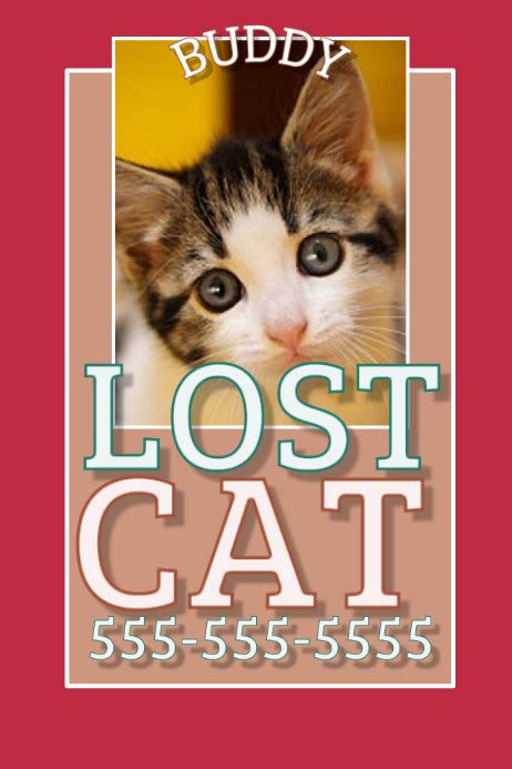 Lost Cat Template Postermywall