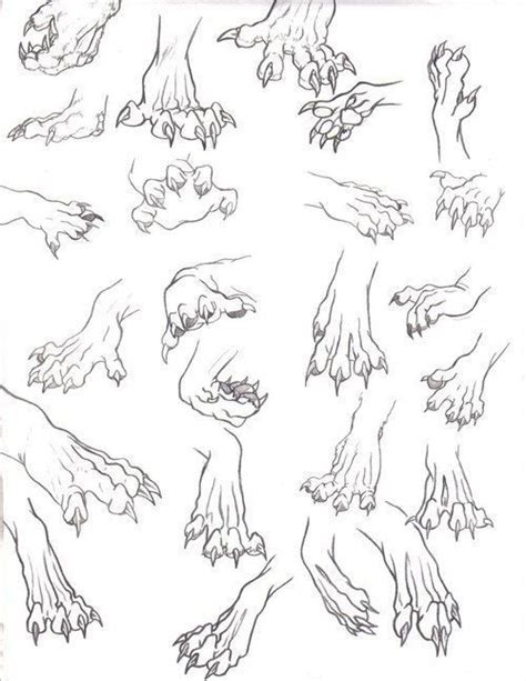 Dragon Feet Animal Drawings Dragon Sketch Drawing Tips