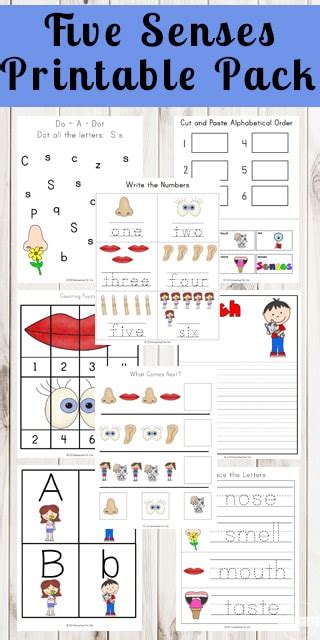 His preschool wants him to get more practice with printing and i think he would do better with words rather than just writing the same. FREE Five Senses Printable Pack
