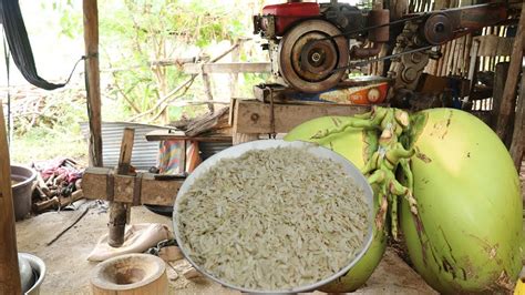 How To Make Traditional Pound Rice In My Village Eating Pound Rice
