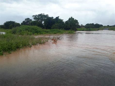 Sertão é a região que mais deve chover na Paraíba conforme previsões da AESA chuvas em