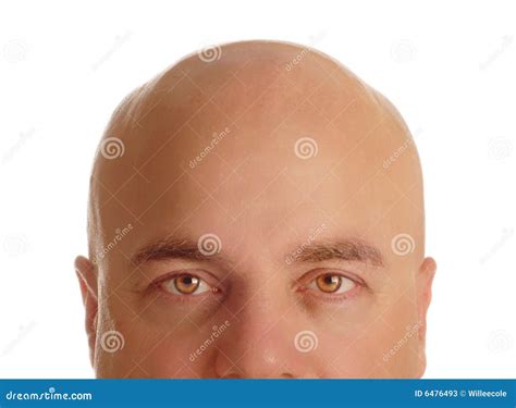Bald Man Stock Image Image Of Eyes Adult Gentleman