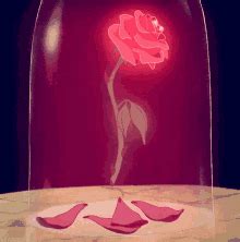 Rose Petals GIF Beauty And The Beast Rose Petals Discover Share