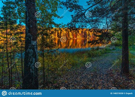 Silence At The Forest Lake At Sunset With Reflection Of Forest On A