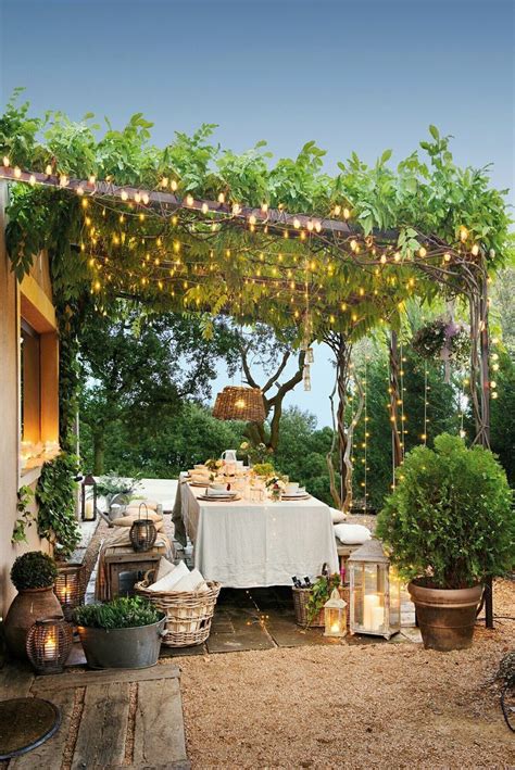 Sie sind in jeder gut sortierten gärtnerei oder in einer speziellen rebschule erhältlich. Épinglé sur Garten Design ♡ Wohnklamotte
