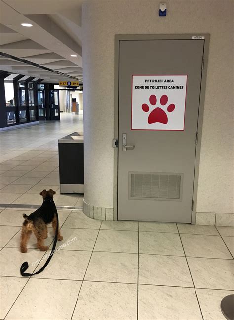 Airport Pet Relief Areas Miles And Emma