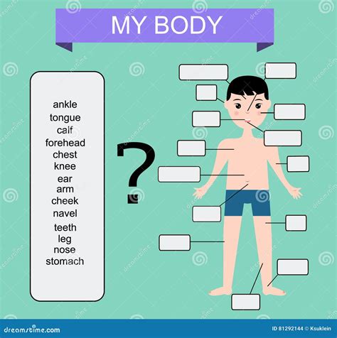 My Body Learning Human Parts Of Body Educational Vector Illustration