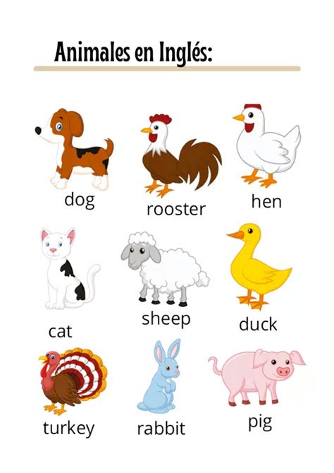 Fichas De Vocabulario De Los Animales En Ph