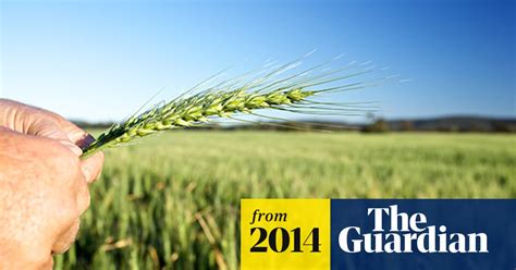 Global Warming Will Cut Crop Harvests By 2 Each Decade Researchers
