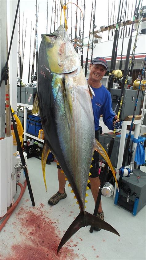 Big bluefin tuna continue to provide offshore action ...