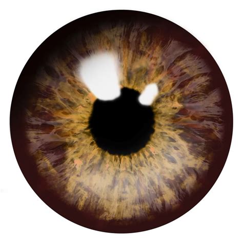 Eye Png Transparent Image Download Size 1024x1024px