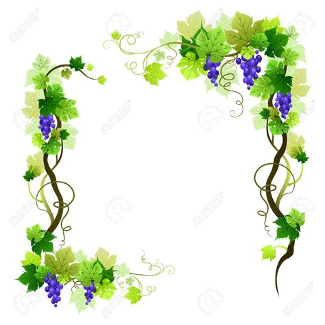 Grapevine Border Cliparts Free Download On Clipartmag