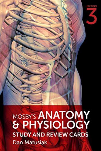 48 Best Anatomy And Physiology Flash Cards 2022 After 206 Hours Of