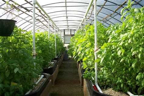Growing edibles in winter can be more challenging than in the warmer months, but the combination of the shelter of the greenhouse. Building/Buying a Greenhouse
