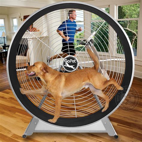 First, remove the actual wheel, you won't need this. GoPet TreadWheel Dog Treadmill MEDIUM LARGE Dogs 20 to 80 lbs 60" diameter NEW | eBay