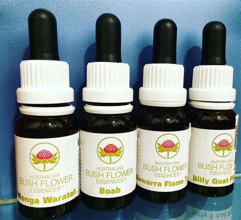 Australian bush flower essences freedom essence è una miscela di essenze di fiori australiani (australian bush flower essences), 100% naturale, che trova la sua origine nella teoria della floriterapia, che la indica per accompagnare le persone che vogliono ritrovare la propria libertà uscendo dalle. Australian Bush flowers essences (With images) | Flower ...