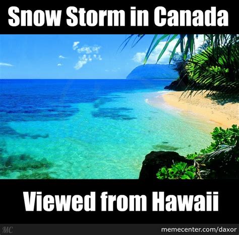 Hawaiian Memes