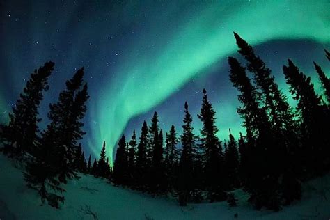 Northern Lights Aurora Borealis Archives Arctic Kingdom Polar