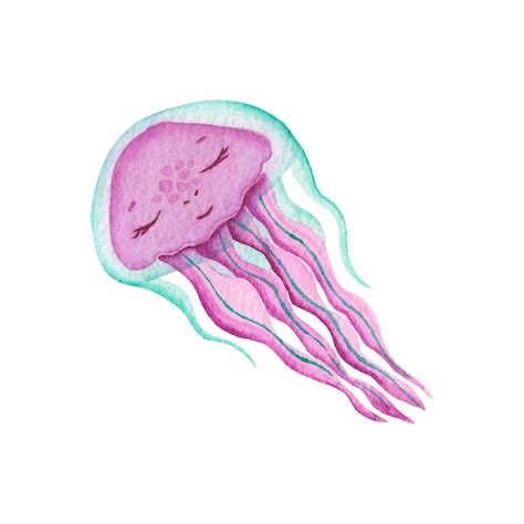 Premium Vector Jellyfish