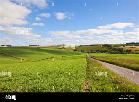 Patchwork Of Small Fields Hi Res Stock Photography And Images Alamy