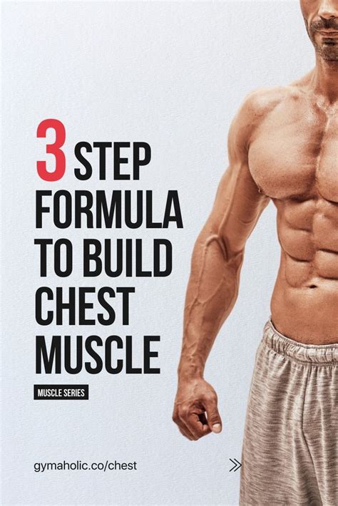 How To Train Your Chest Effectively Muscle Series Chest Muscles