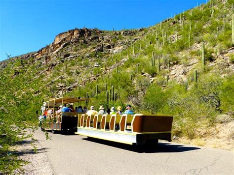 Sabino Canyon Hike To Seven Falls Take A Narrated Tram Ride Or Just
