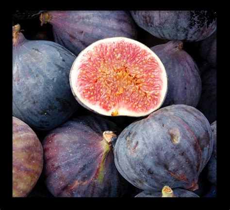 20 Different Types Of Figs With Images
