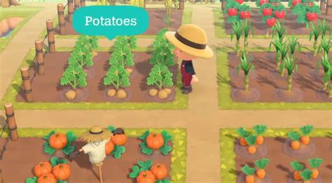 Get Potato In Animal Crossing A Step By Step Guide Planthd
