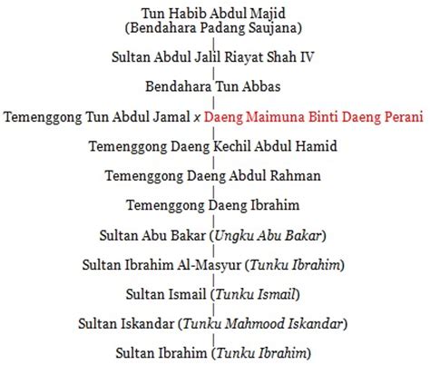 Tunku ibrahim dilantik sebagai waris apabila duli yang maha mulia sultan iskandar menaiki takhta kerajaan johor dan dimasyurkan sebagai tunku mahkota johor pada 3 julai 1981. Malaysians Must Know the TRUTH: Raja "celup" - (in Malay)