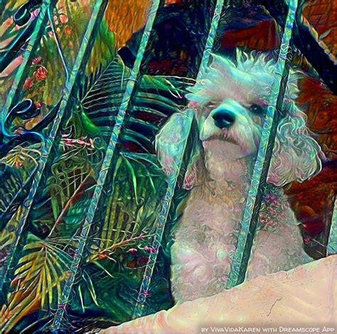 Deep Dream Image Generator By Dreamscope Turn Photo Into Painting