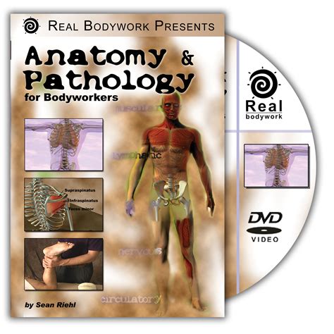 Anatomy And Pathology For Bodyworkers Real Bodywork