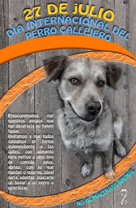 De acuerdo con la organización. Imágenes del Día Mundial del Perro Callejero con frases ...