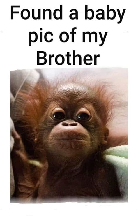 18 Funny Memes For Brother Factory Memes