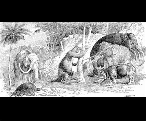 Prehistoric Mammal Alchetron The Free Social Encyclopedia