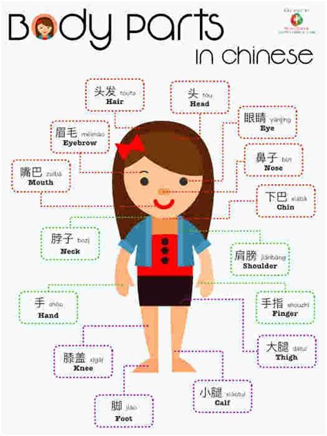 Pin On Chinese Infographic Posters