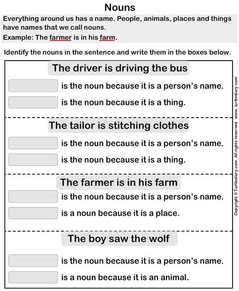 Use Nouns To Complete The Sentence Worksheet Turtle Diary